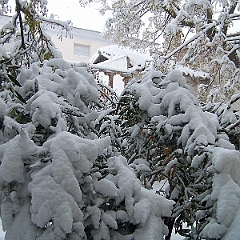 nieve 14 - 12 - 09 121